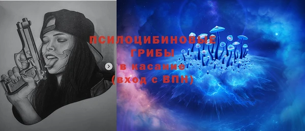 крисы Богданович