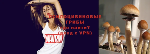 тгк Видное