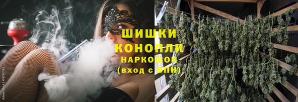 крисы Богданович