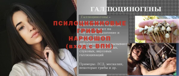 крисы Богданович