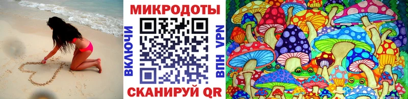 Галлюциногенные грибы мухоморы  цены   Сланцы 